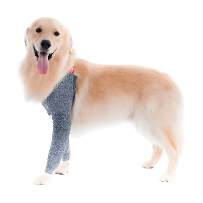 Protector de Higroma1