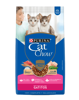 Cat chow gatito