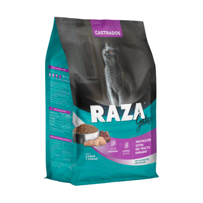 Raza Gatos Castrados1