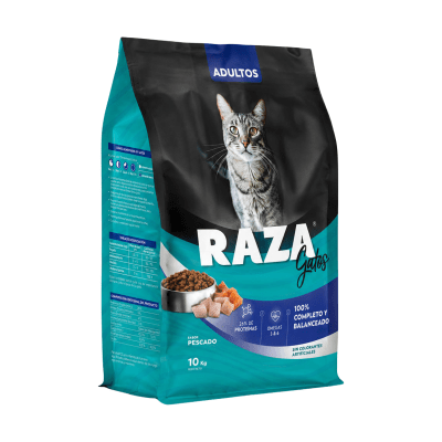 Raza Gato