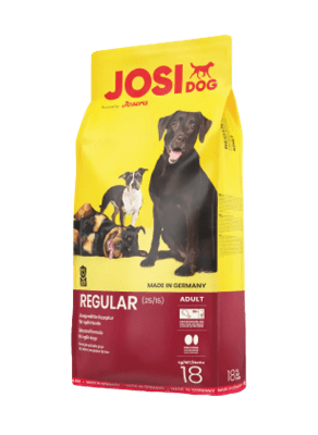 Josi Dog Regular1
