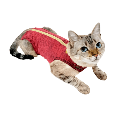 Body Protectora Quirurgica Gato