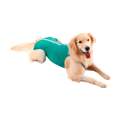 Body Protectora Quirúrgica PERRO1