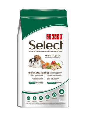 Select Dog Mini Puppy