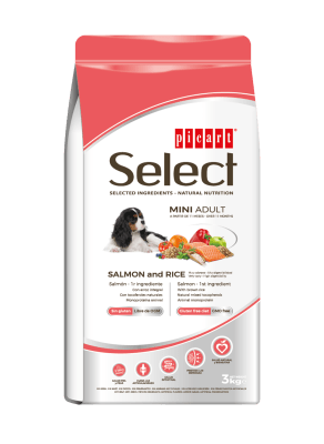 Select Dog Mini Adulto Salmon And Rice