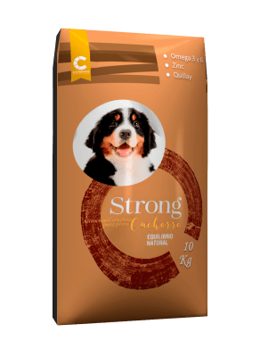 Strong Cachorro