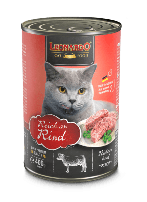 Lata Leonardo Ternera