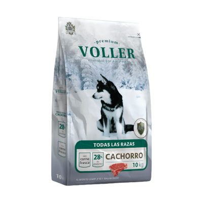 Voller Cachorro
