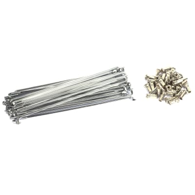 Rayos P/Cg150 Sii 405000-G0014-002 V.2 Motomel