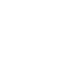 Licores Nuevo Mundo