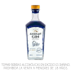 ANDEAN GIN  ARANDANOS X 700ML.1
