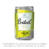 BRITVIC GINGER ALE1