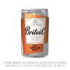 BRITVIC GINGER BEER1