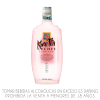 CREMA KUYPER LY CHEE X 700ML1