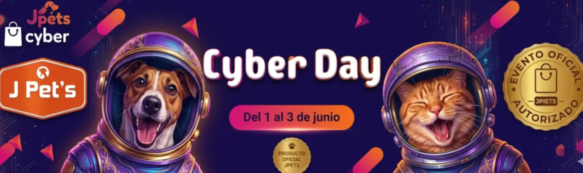 CYBER DAY