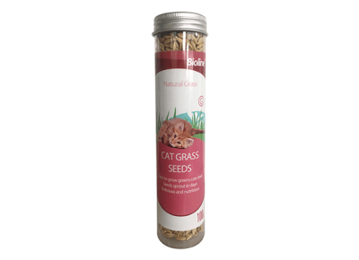 CATNIP TUBO 5G1
