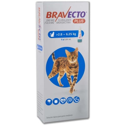BRAVECTO PLUS GATO 2.8 A 6.25KG