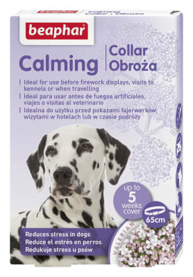 CALMING COLLAR PERRO1
