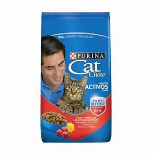 CAT CHOW ADULT CARNE 8KG