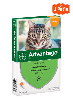 PIPETA GATO ADVANTAGE HASTA 4KG