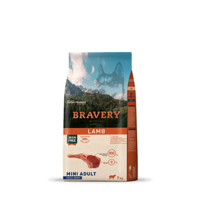 BRAVERY LAMB MINI ADULT 2 KG
