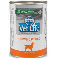 LATA VETLIFE CONVALESCENCE PERRO 300G1