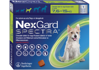 NEXGARD SPECTRA 7.6 A 15KG 1 COMPRIMIDO1