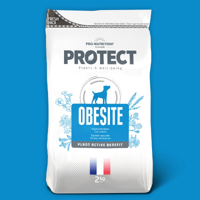 PRO NUTRITION PROTECT OBESITE PERRO 2 KG