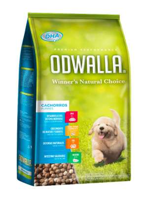 ODWALLA CACHOORO 15KG
