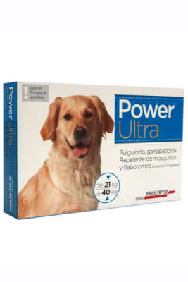 POWER ULTRA 21 A 40 KG1