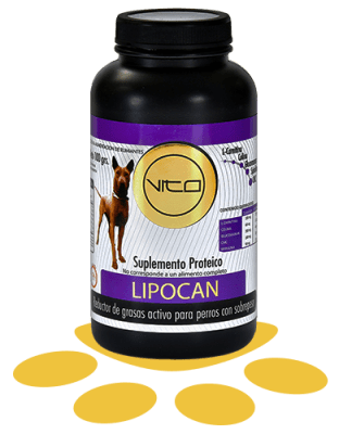 VITO LIPOCAN 100 GR1