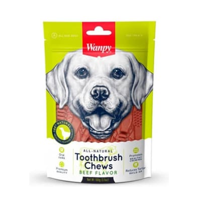WANPY TOOTHBRUSH DENTAL 100GRS