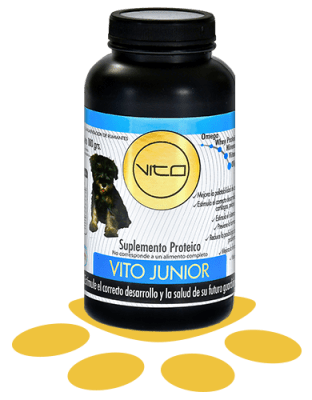 VITO PERRO JUNIOR 100GR