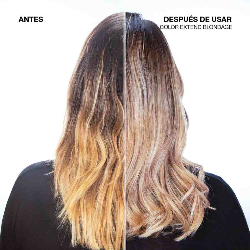 COLOR EXTEND BLONDAGE MASCARILLA VI ANTI-BRASS 250ml2