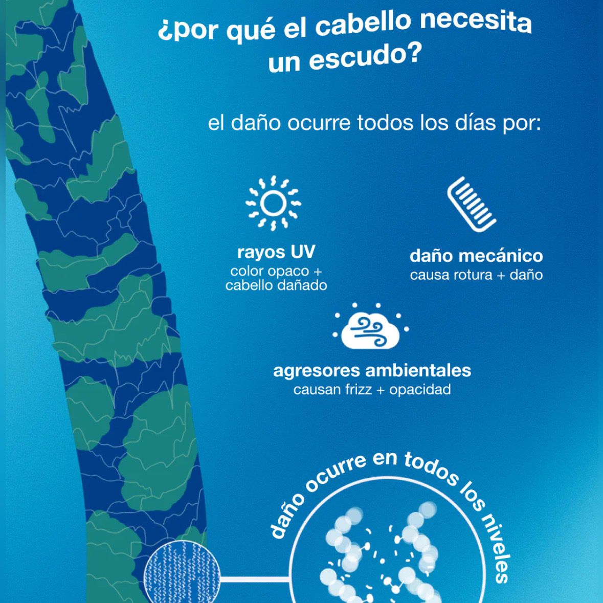 Acondicionador protEctor dE daño DAMAGE SHIELD3