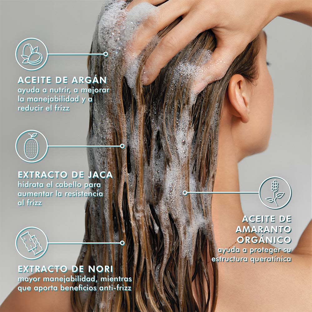 Moroccanoil Pack Frizz Control Shampoo 250 ml + Acondicionador 250 ml + Spray 160 ml + Tratamiento 25 ml + Neceser4