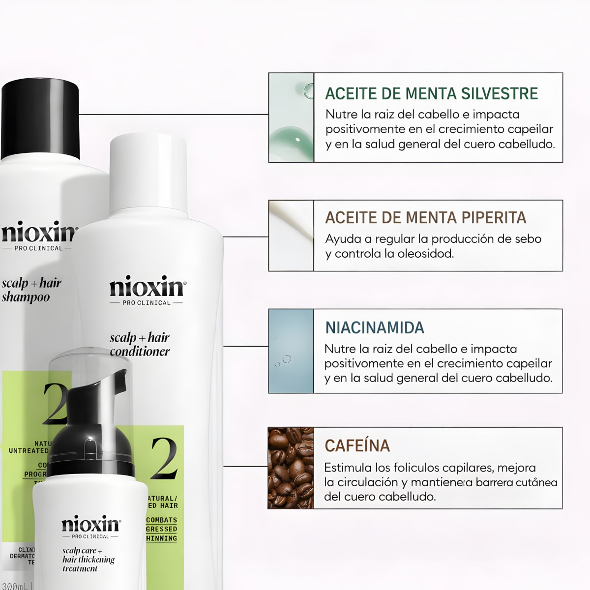 Nioxin Sistema 2 Shampoo Cabello Natural con Adelgazamiento Avanzado 1000 ml3