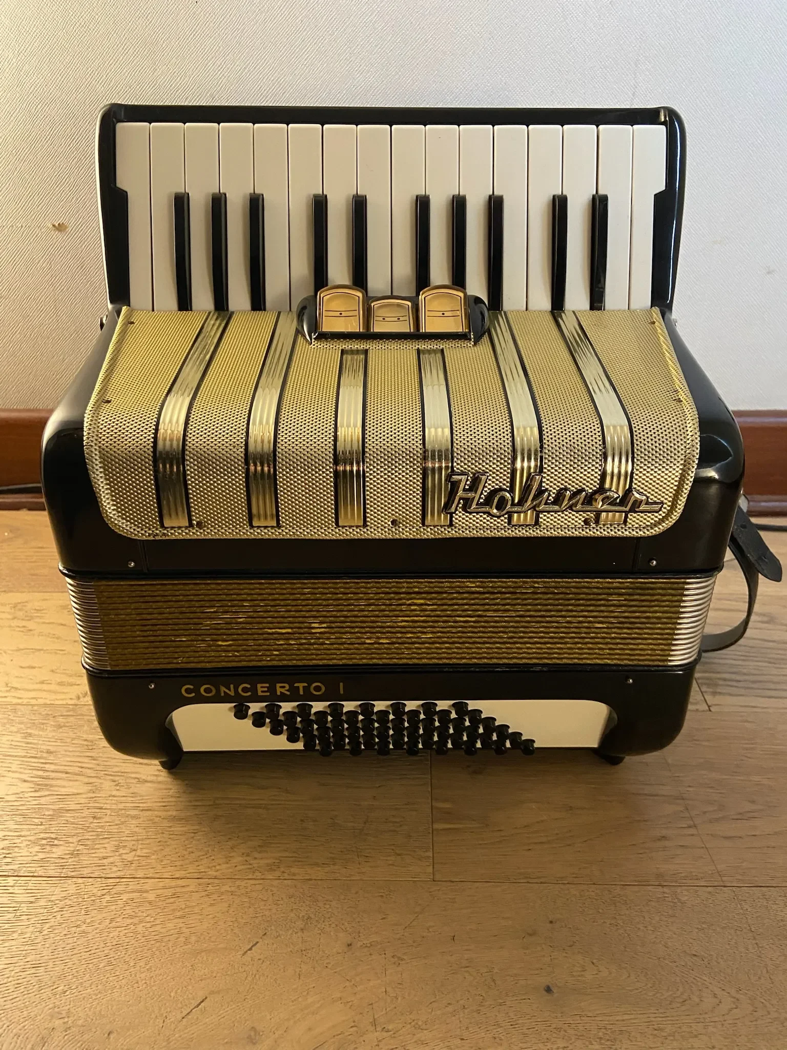 a piano 48 bajos Hohner Concerto I