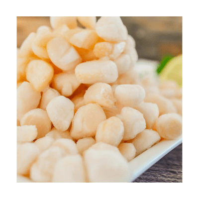 OSTION 20/40 SIN CORAL