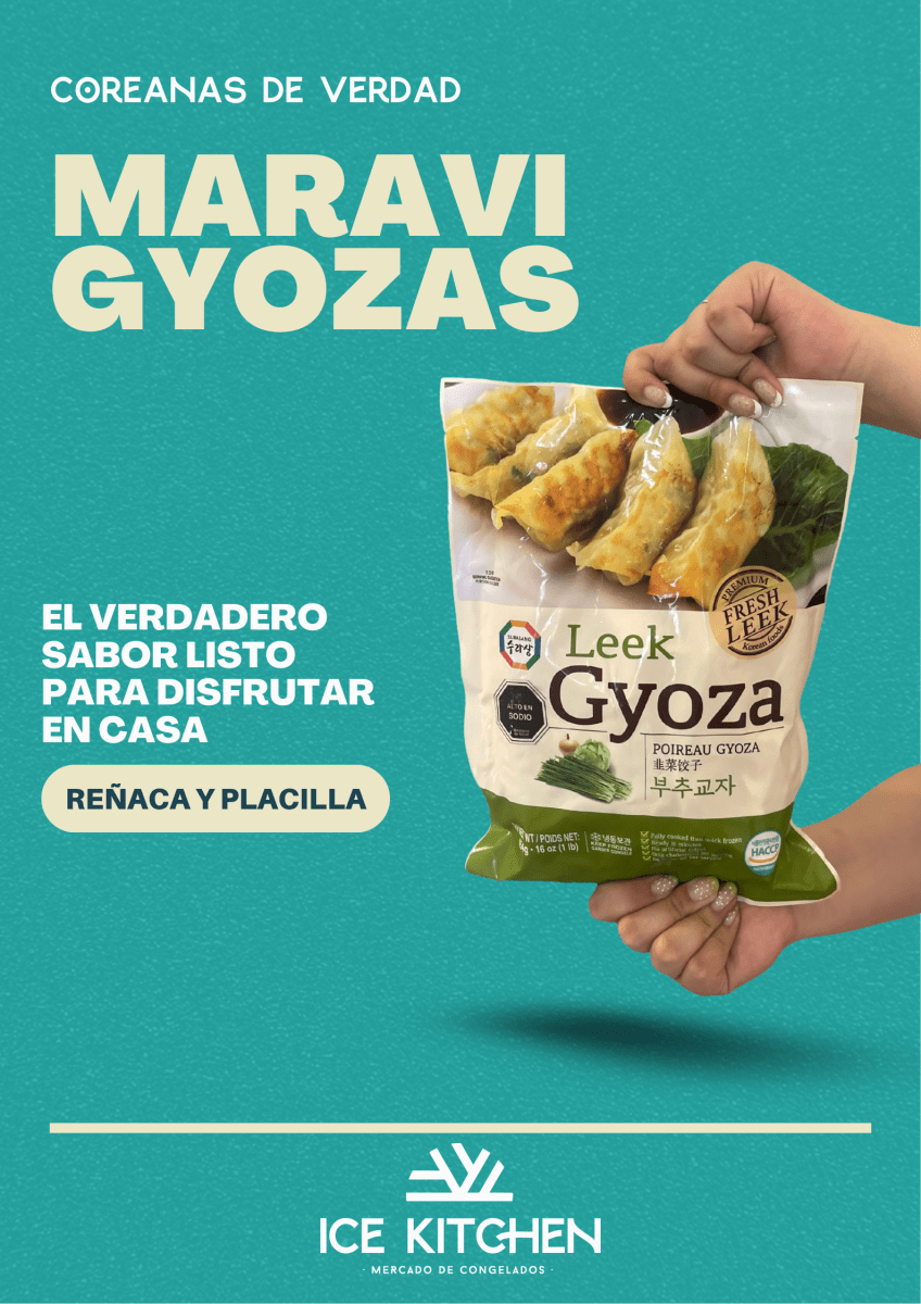 GYOZA KOREANA LEEK1