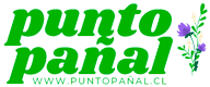 Punto Pañal