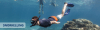 Snorkel