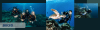 Buceo Buceo