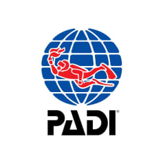 Padi