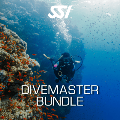 Divemaster Bundle