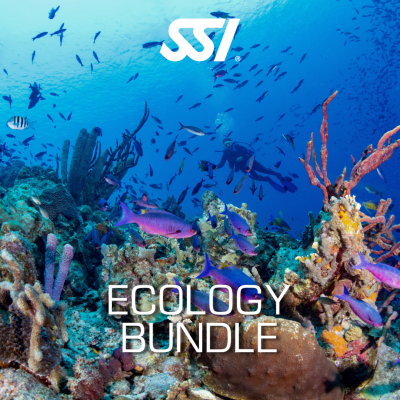 Ecology Bundle
