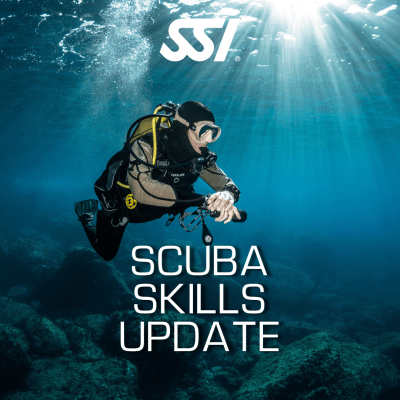 Scuba Skills Update