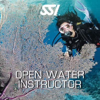 Open Water Instructor