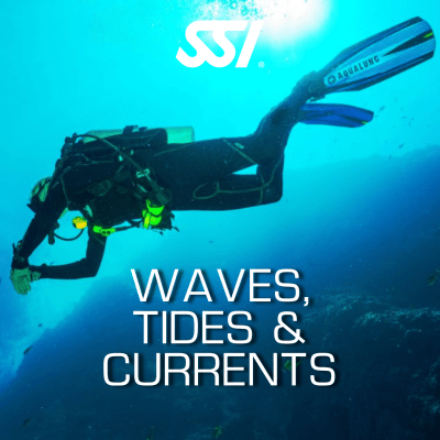 Waves, Tides & Currents