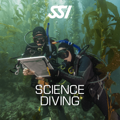 Science of Diving